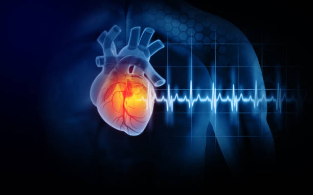 Advanced Heart Disease Treatment in Amritsar with OCT & IVUS