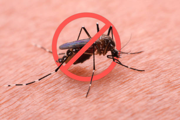 Why You Should Not Ignore Mild Fever in Dengue and Malaria Season in Amritsar