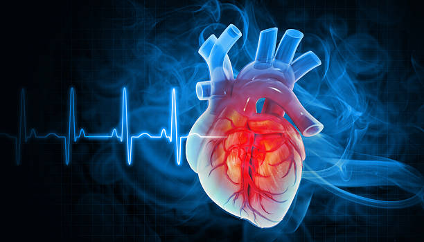 Arrhythmia & Palpitation Hospital in Amritsar: EP Study, Ablation & Cost